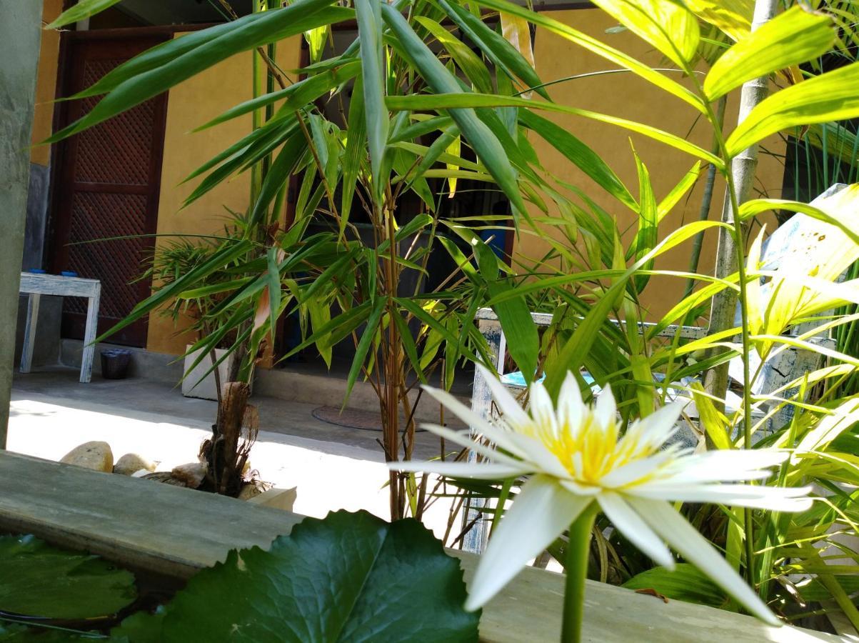 Cycling Backpacker Hostel & Cafe Unawatuna Esterno foto